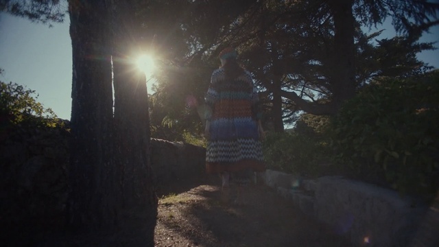 Video Reference: Atmosphere, Sky, Plant, Automotive lighting, Branch, Road surface, Sunlight, Tree, Shade, Asphalt