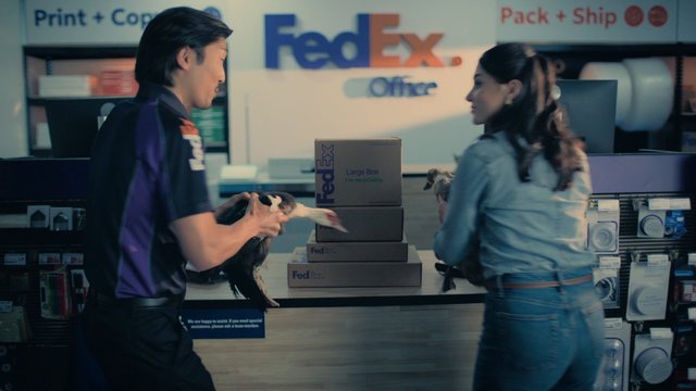 Video Reference: FedEx Office, shipping, package, counter, retail store, people, dog, small dog, boxes, parcel, indoor, service, delivery, storefront, commercial, branding