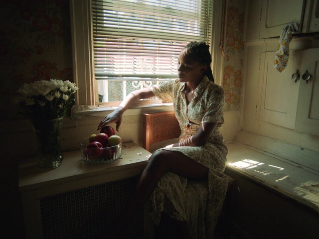 Video Reference: Window, Plant, Comfort, Flowerpot, Window blind, Wood, Houseplant, Tints and shades, Flooring, Darkness