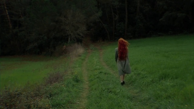 Video Reference: Plant, People in nature, Natural landscape, Tree, Grassland, Landscape, Meadow, Forest, Prairie, Grass