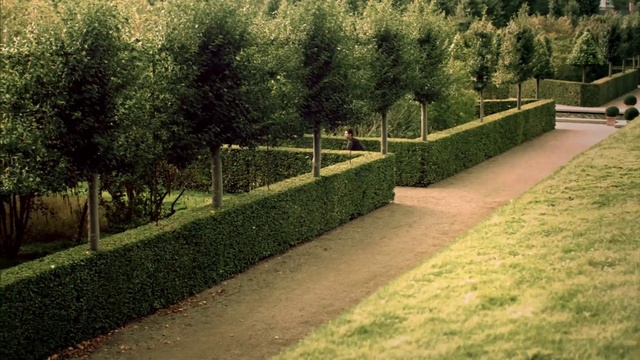 Video Reference: Plant, Tree, Natural landscape, Road surface, Fence, Land lot, Hedge, Slope, Grass, Shade