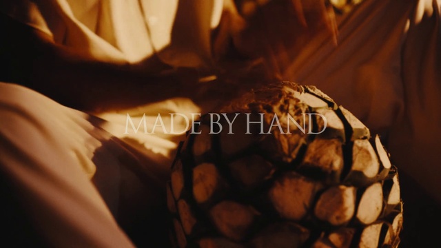 Video Reference: Wood, Reptile, Tints and shades, Font, Terrestrial animal, Pattern, Plant, Turtle, Event, Snake