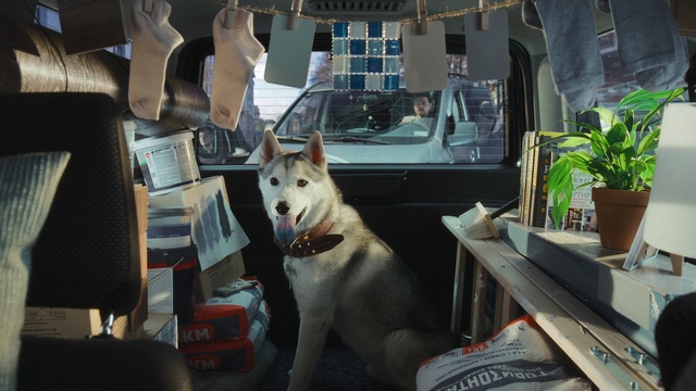 Video Reference: Dog, Plant, Flowerpot, Houseplant, Collar, Window, Dog breed, Carnivore, Fawn, Companion dog