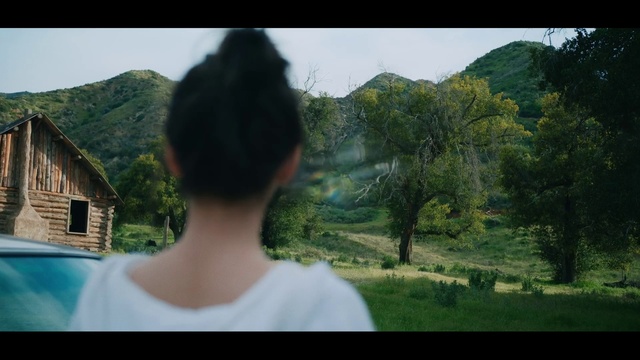 Video Reference: Plant, Sky, Tree, People in nature, Mountain, Happy, Travel, Eyewear, Grass, Leisure
