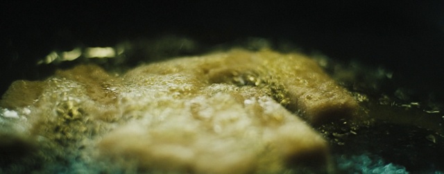 Video Reference: Plant, Ingredient, Recipe, Cuisine, Dish, Grass, Macro photography, Tree, Fruit, Soil