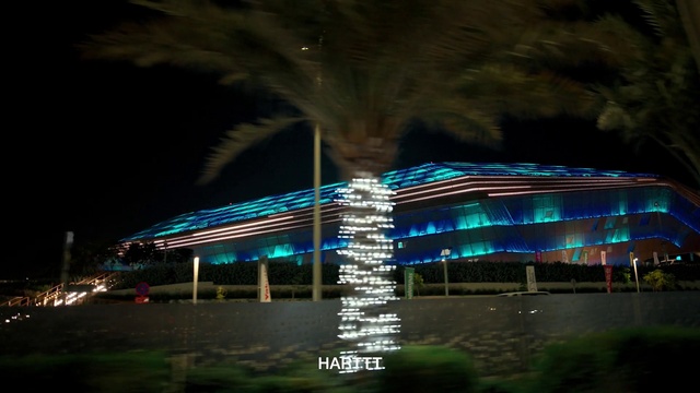 Video Reference: Plant, Light, Automotive lighting, Lighting, Electricity, Building, Arecales, Tree, Street light, House