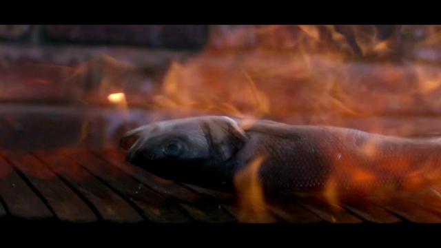 Video Reference: Wood, Gas, Terrestrial animal, Fish, Snout, Tail, Heat, Cooking, Wildlife, Marine mammal
