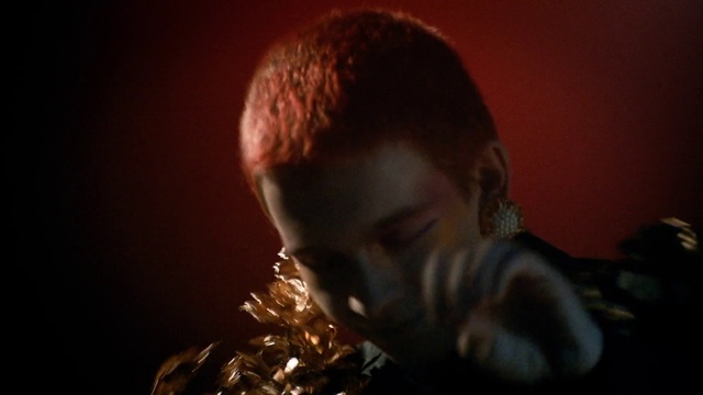 Video Reference: Nose, Head, Flash photography, Ear, Jaw, Microphone, Audio equipment, Facial hair, Beard, Music