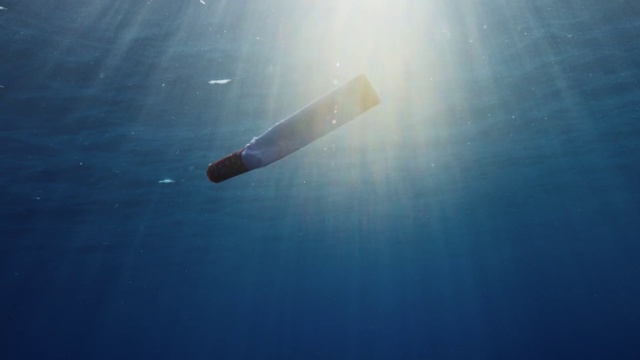 Video Reference: Water, Atmosphere, Azure, Liquid, Underwater, Lens flare, Fin, Electric blue, Fish, Recreation