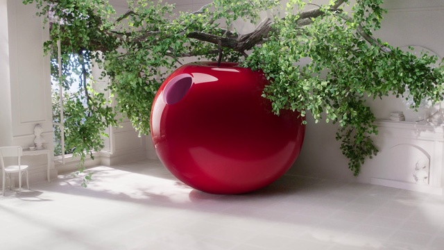 Video Reference: Plant, Flowerpot, Houseplant, Wood, Grass, Serveware, Pottery, Dishware, Magenta, Room