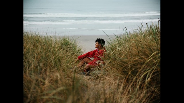 Video Reference: Sky, Water, Ecoregion, People in nature, Plant, Natural landscape, Happy, Grass, Beach, Grassland