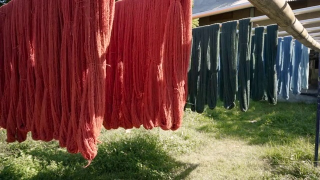Video Reference: Wood, Grass, Trunk, Tints and shades, Plant, Home fencing, Fence, Landscape, Shrub, Magenta