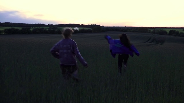 Video Reference: Sky, Plant, Purple, People in nature, Cloud, Gesture, Happy, Natural landscape, Flash photography, Grass