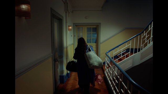 Video Reference: indoor, hallway, staircase, person, bags, walking, dimly lit, door, apartment, corridor, railing, back view
