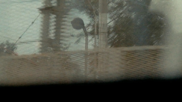 Video Reference: Window, Plant, Wood, Street light, Twig, Atmospheric phenomenon, Wall, Automotive lighting, Vehicle door, Tints and shades