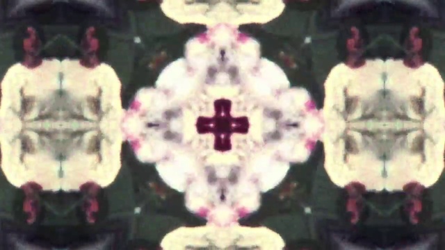 Video Reference: White, Light, Purple, Black, Textile, Organism, Pink, Plant, Petal, Magenta