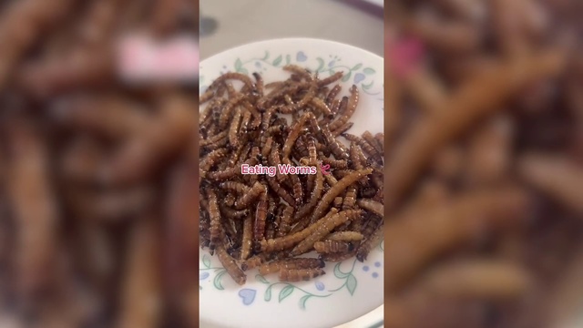 Video Reference: Brown, Plant, Wood, Terrestrial plant, Art, Soil, Event, Metal, Font, Snack