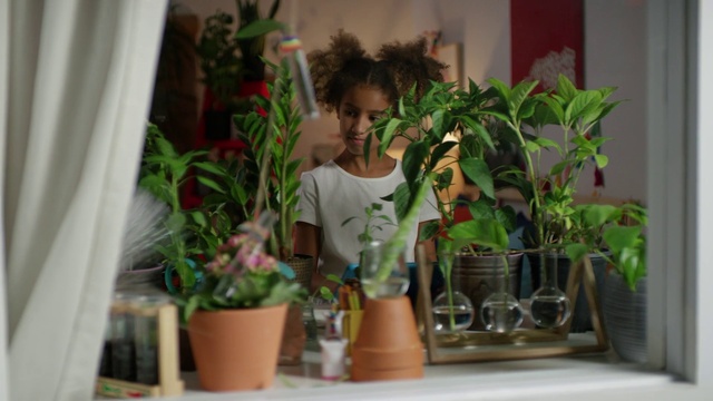 Video Reference: Plant, Flowerpot, Houseplant, Flower, Shorts, Terrestrial plant, Flower Arranging, Event, Floristry, Vase