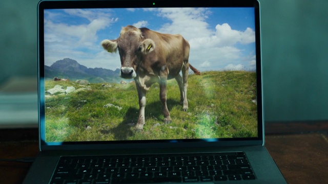Video Reference: Computer, Personal computer, Sky, Plant, Cloud, Output device, Green, Nature, Natural landscape, Laptop