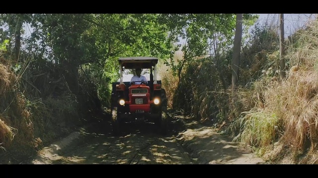 Video Reference: Tire, Plant, Vehicle, Vehicle registration plate, Automotive lighting, Automotive tire, Wheel, Car, Motor vehicle, Tree