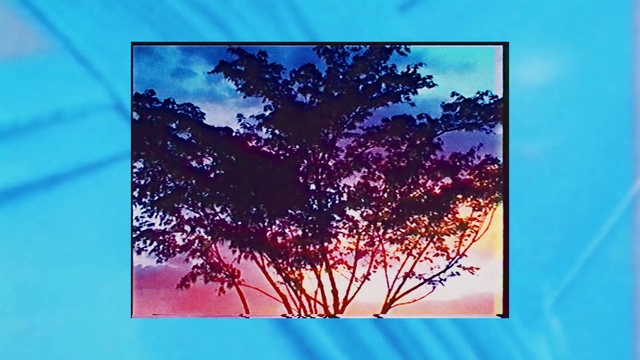 Video Reference: Sky, Blue, Rectangle, Azure, Purple, Natural landscape, Cloud, Paint, Twig, Tree