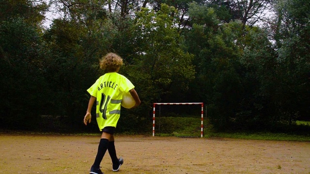 Video Reference: Plant, Sleeve, Soccer, Tree, Player, Grass, Sportswear, Leisure, Team sport, Sports