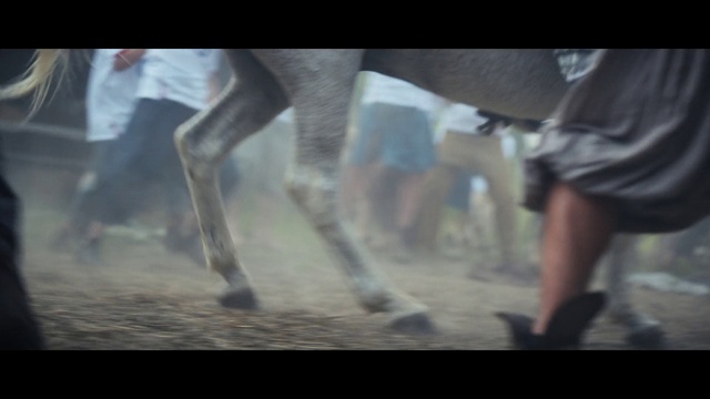 Video Reference: Hand, Human body, Shorts, Gesture, Working animal, Knee, Thigh, Tree, Fun, Human leg
