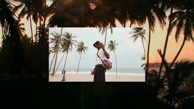 Video Reference: Water, Sky, Plant, Cloud, Flash photography, Beach, Body of water, Tree, Arecales, Sunlight