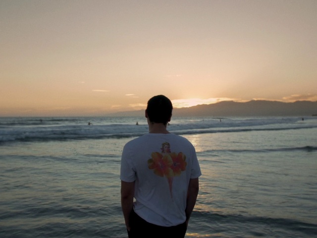Video Reference: Water, Sky, Cloud, People on beach, Afterglow, Beach, Gesture, Sunlight, Coastal and oceanic landforms, Happy