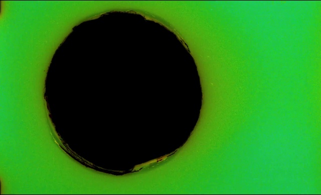 Video Reference: Rectangle, Plant, Font, Tree, Astronomical object, Circle, Fashion accessory, Automotive tire, Logo, Grass