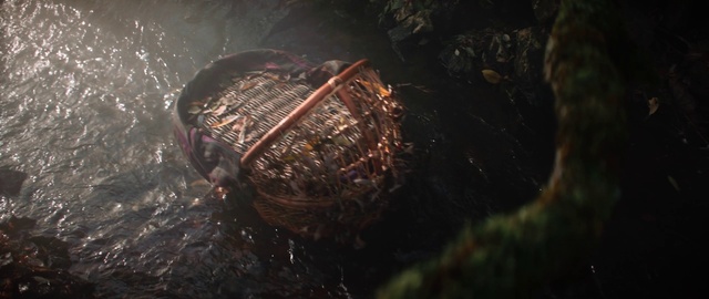 Video Reference: Watercraft, Plant, Wood, Automotive lighting, Circle, Food, Darkness, Metal, Tree, Grass