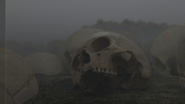 Video Reference: Bone, Jaw, Skull, Grey, Atmospheric phenomenon, Art, Fog, Snout, Skeleton, Visual arts