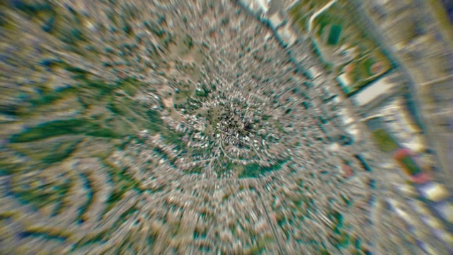 Video Reference: Plant, Terrestrial plant, Whiskers, Art, Pattern, Grass, Snout, Symmetry, Electric blue, Thorns, spines, and prickles