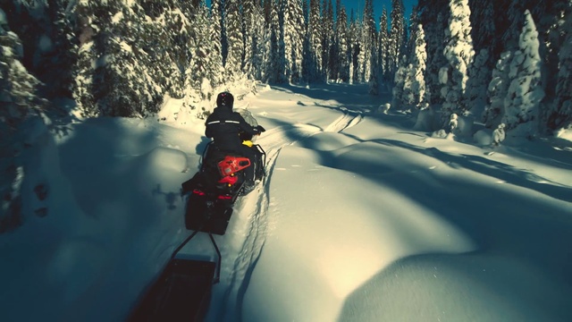Video Reference: Snowmobile, Snow, Automotive lighting, Natural environment, Plant, Automotive tire, Slope, Tree, Freezing, Terrain