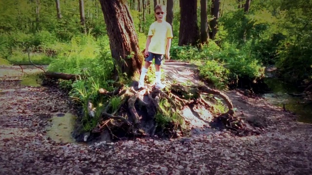 Video Reference: Plant, Leaf, Shorts, Tree, Tire, Natural landscape, Wood, Wheel, Terrestrial plant, People in nature