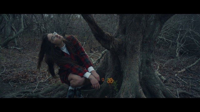 Video Reference: Plant, People in nature, Flash photography, Organism, Tree, Grass, Cg artwork, Knee, Darkness, Forest