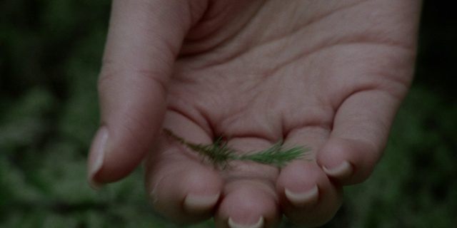 Video Reference: Hand, Plant, Gesture, Insect, Finger, Thumb, Terrestrial plant, Nail, Grass, Flowering plant
