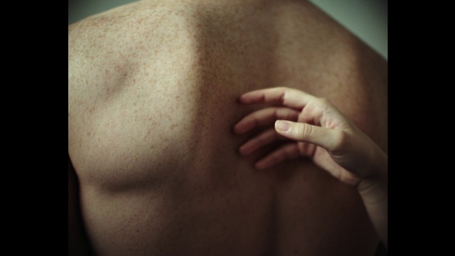 Video Reference: Human body, Waist, Stomach, Gesture, Sleeve, Finger, Wood, Trunk, Abdomen, Elbow