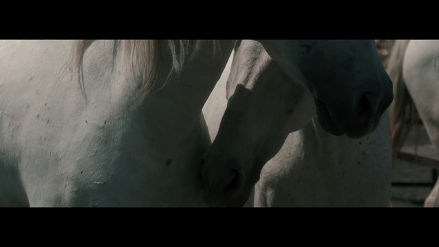 Video Reference: Flash photography, Jaw, Gesture, Font, Tints and shades, Art, Human leg, Monochrome photography, Darkness, Monochrome