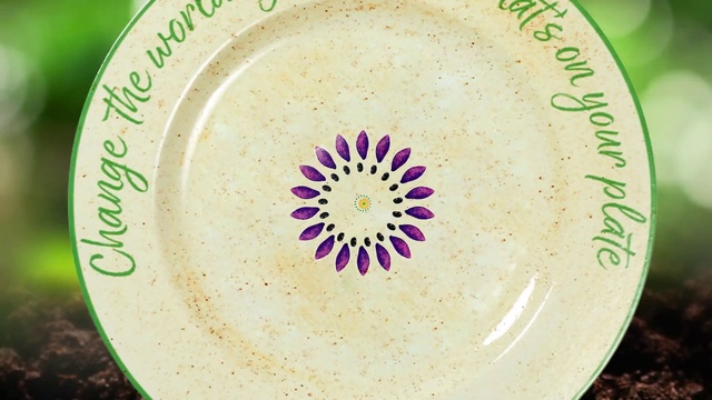 Video Reference: Tableware, Drinkware, Dishware, Plate, Serveware, Cup, Porcelain, Art, Ceramic, Circle