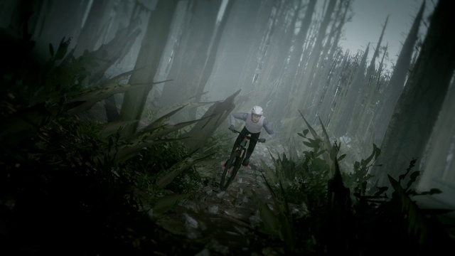Video Reference: Bicycle, Tire, Atmosphere, Plant, Cloud, Sky, Wheel, Wood, Terrestrial plant, Sunlight