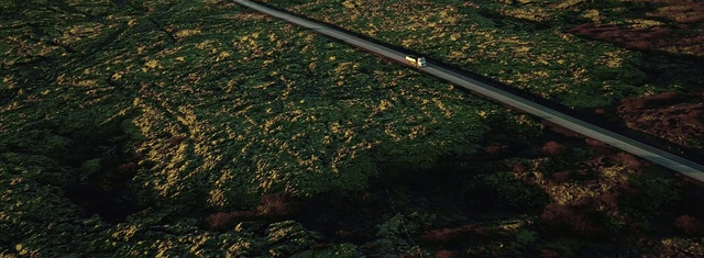 Video Reference: Plant, Air gun, Wood, Shotgun, Grass, Tints and shades, Groundcover, Landscape, Shrub, Soil