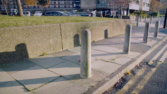 Video Reference: Plant, Road surface, Building, Asphalt, Urban design, Window, Sidewalk, Grass, Road, Tints and shades