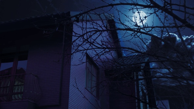 Video Reference: Atmosphere, Sky, Building, Electricity, Branch, Twig, Overhead power line, Atmospheric phenomenon, Dusk, Midnight