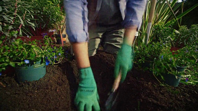 Video Reference: Plant, Shoe, People in nature, Leg, Leaf, Shorts, Botany, Thigh, Grass, Morning