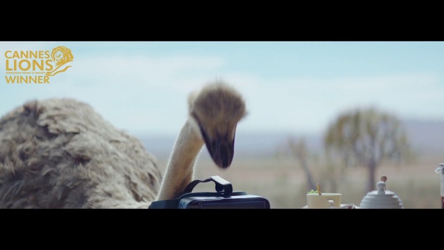 Video Reference: Sky, Bird, Beak, Automotive design, Feather, Ducks, geese and swans, Wing, Seabird, Gadget, Waterfowl