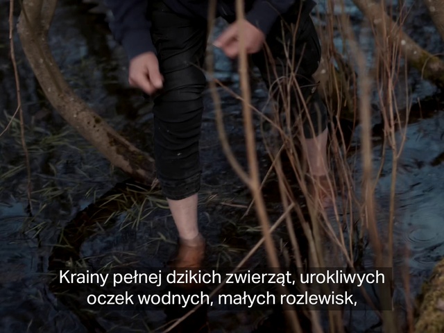 Video Reference: Shorts, Plant, People in nature, Thigh, Wood, Tree, Grass, Human leg, Foot, Calf