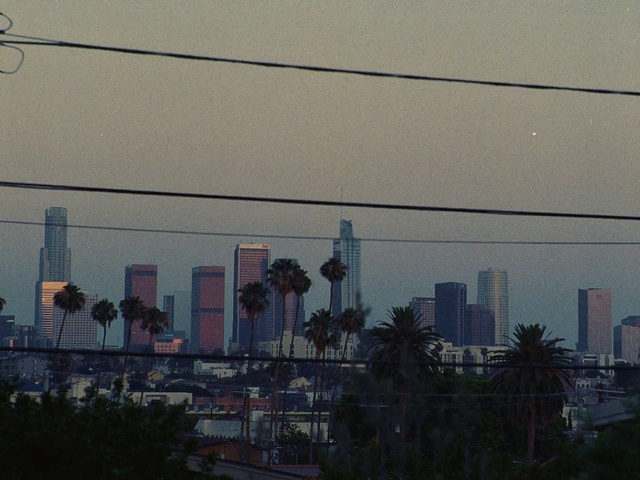 Video Reference: Building, Sky, Atmosphere, Skyscraper, Window, Dusk, Cloud, Tower block, Tree, Electricity
