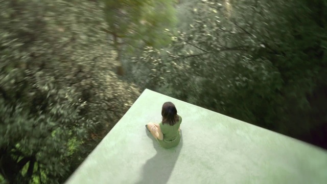 Video Reference: Plant, Water, Tree, Grass, Leisure, Recreation, Fun, Landscape, Rock, Ducks, geese and swans