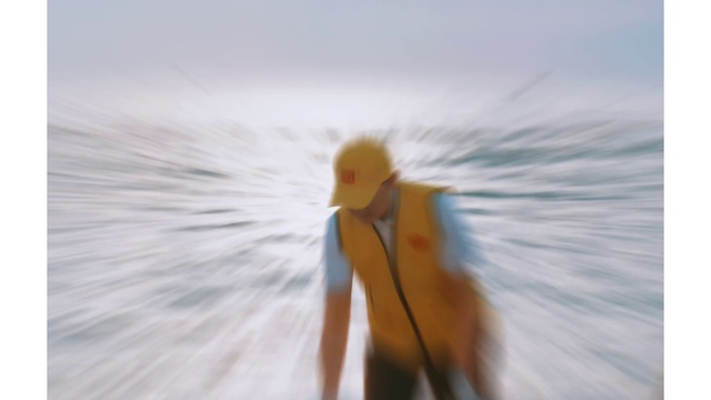 Video Reference: Beak, Tree, Wood, Sky, Parrot, Wing, Feather, Art, Surfboard, Landscape